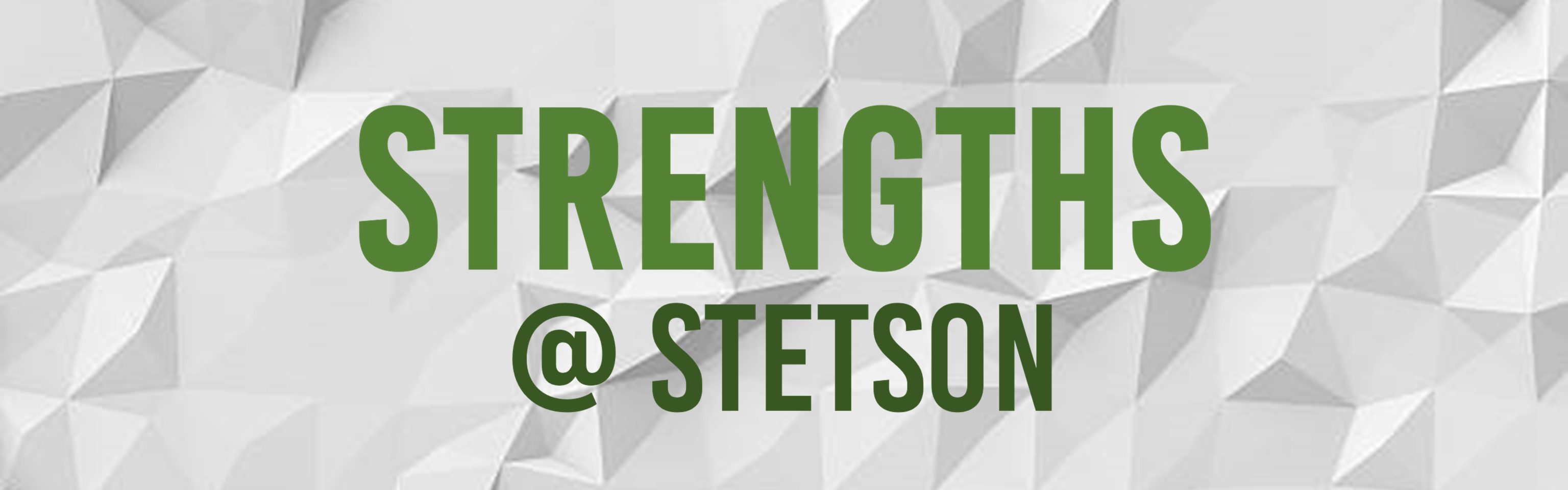 Strengths at Stetson Wordmark on texture white background